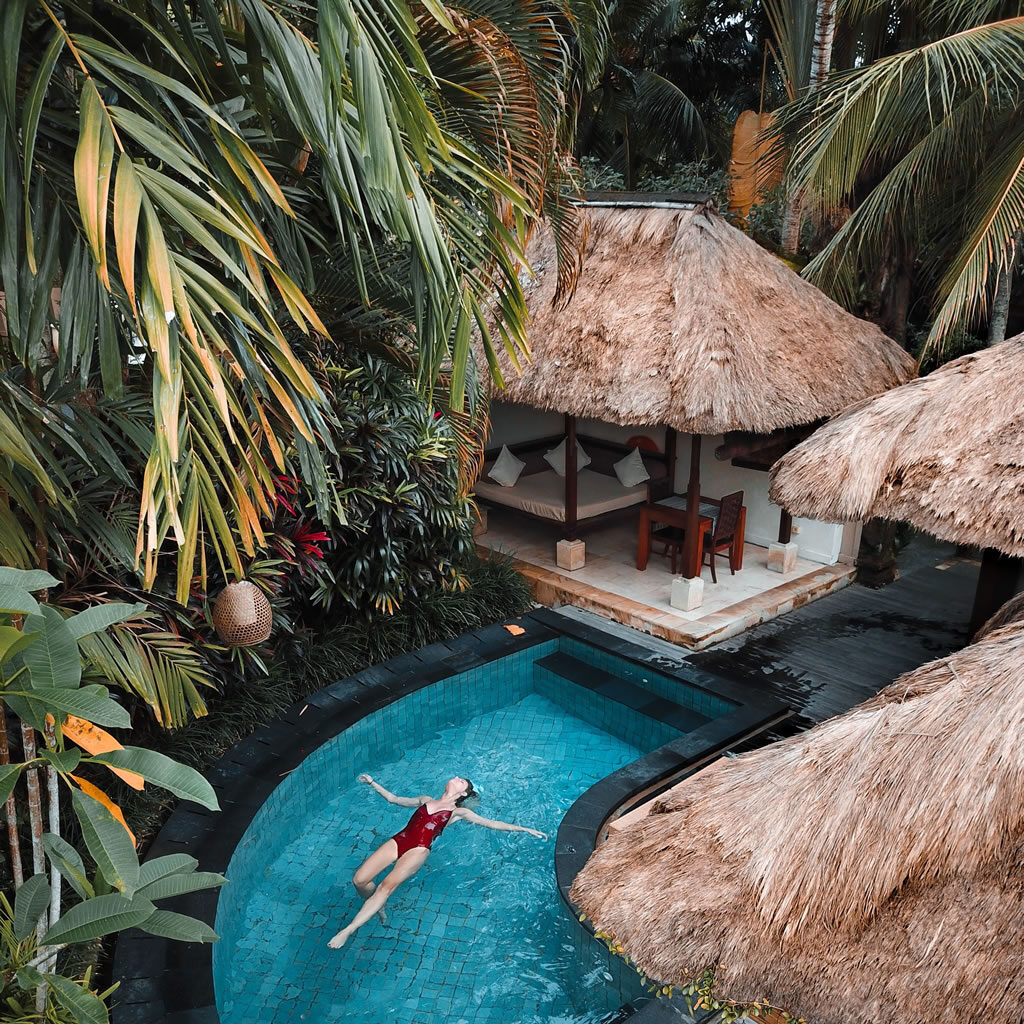 Palm Tree Service Cape Coral